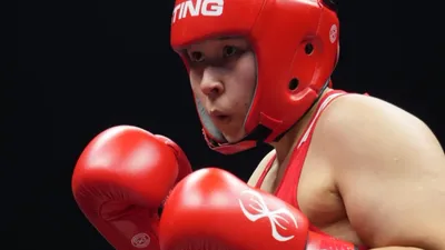 Кубок мира, фото - Новости Zakon.kz от 18.11.2025 21:53