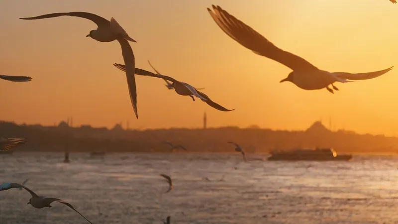 Трагический туризм: вслед за женой и детьми в Стамбуле умер отец семейства