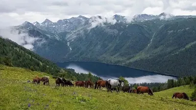 ВКО, акимат, туризм , фото - Новости Zakon.kz от 20.11.2025 14:24
