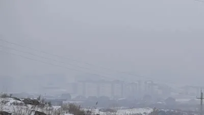 смог, акимат, ВКО , фото - Новости Zakon.kz от 20.11.2025 13:26