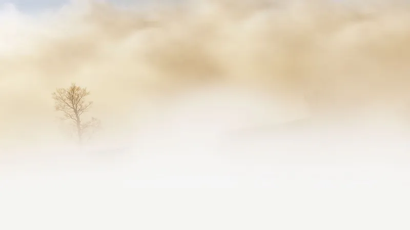 Туманы накроют Казахстан: о погоде на 21 ноября