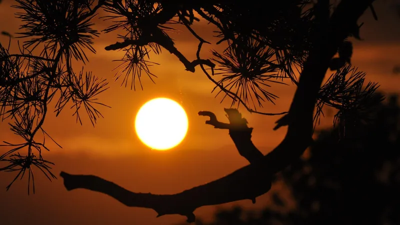 С Солнца улетел "царь-протуберанец"