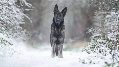 , фото - Новости Zakon.kz от 25.11.2025 17:34