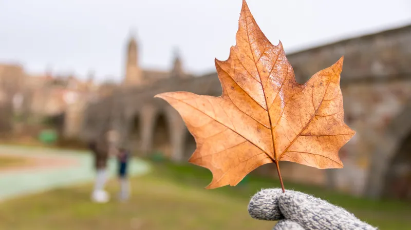 Что нельзя делать 22 ноября