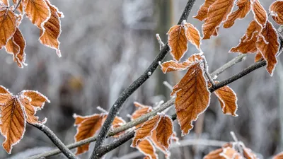 , фото - Новости Zakon.kz от 22.11.2025 14:11