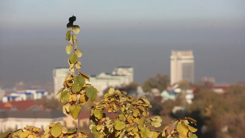В трех городах РК ожидается НМУ: кому стоит воздержаться от прогулок