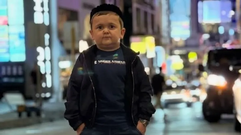 Хасбик получил работу в UFC