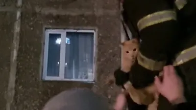 , фото - Новости Zakon.kz от 23.11.2025 10:17