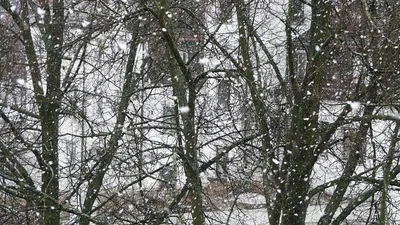 штормовое предупреждение, фото - Новости Zakon.kz от 24.11.2025 20:19