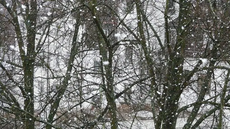 Метель, гололед и туман: штормовое предупреждение объявили в Казахстане на вторник