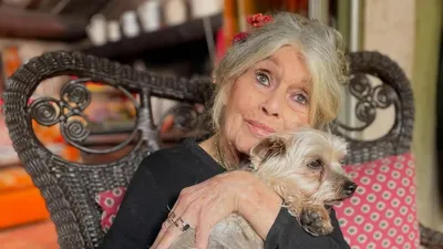 Бриджит Бардо вновь оказалась в больнице, фото - Новости Zakon.kz от 24.11.2025 21:45