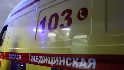 контрактник лишился глаза в Жамбылской области, фото - Новости Zakon.kz от 24.11.2025 22:30