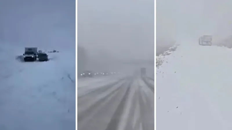 Мощный снегопад парализовал восток Казахстана