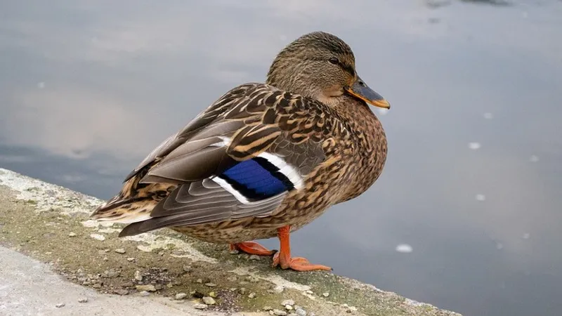 Гороскоп на 25 ноября: найдите пару часов для отдыха