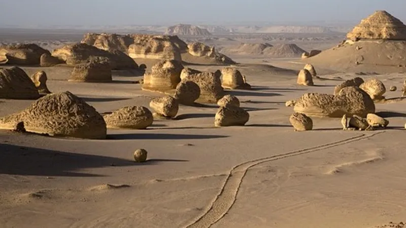 Руины древнего города обнаружили в Узбекистане