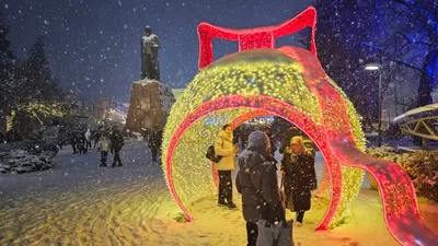 Новый год, новогодний праздник, празднование, празднования, новогодние каникулы, зимние каникулы, новогодние выходные, новогодние праздники, новогодние украшения, новогоднее оформление города, новогодние декорации, новогодняя елка, фото - Новости Zakon.kz от 24.12.2025 19:32