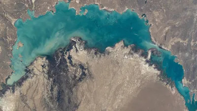 Озеро,  Балхаш, фото - Новости Zakon.kz от 26.11.2025 11:55