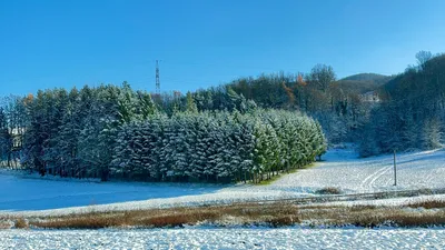 , фото - Новости Zakon.kz от 01.12.2025 14:20