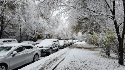 Парковка, паркинг, парковочное место, парковочные места, фото - Новости Zakon.kz от 30.12.2025 03:09