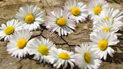 Гороскоп на 27 ноября, фото - Новости Zakon.kz от 27.11.2025 08:03