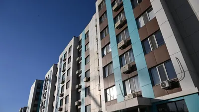 Программа "Алматы жастары", фото - Новости Zakon.kz от 27.11.2025 11:56