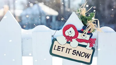 , фото - Новости Zakon.kz от 28.11.2025 17:45