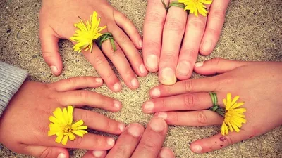 исследование, фото - Новости Zakon.kz от 28.11.2025 07:53