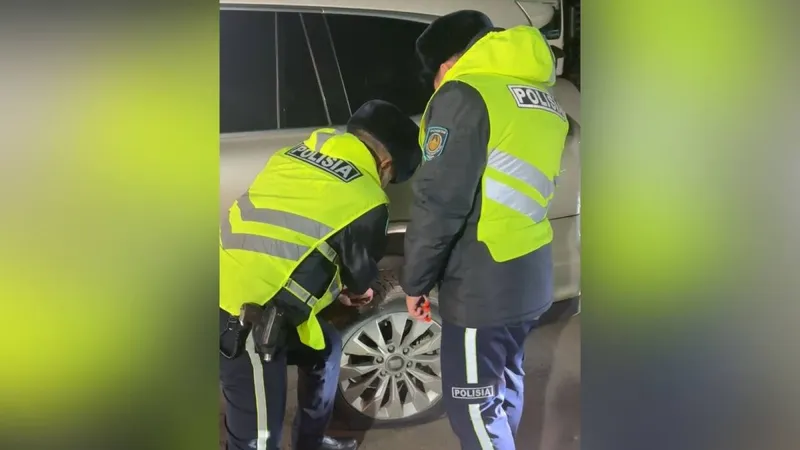 "Хорошие люди": туристы из Китая восхитились полицейскими в области Жетысу