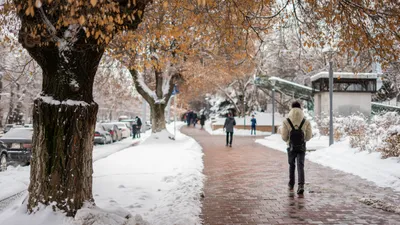 прогноз погоды на позднюю осень в Алматы, фото - Новости Zakon.kz от 28.11.2025 19:05
