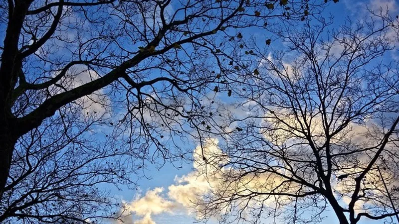 29 ноября – Матвеев день: приметы и важные запреты