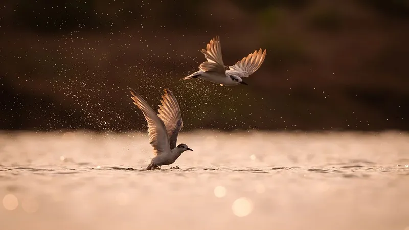 Вселенная шлет судьбоносное послание четырем знакам зодиака в декабре 2025 года
