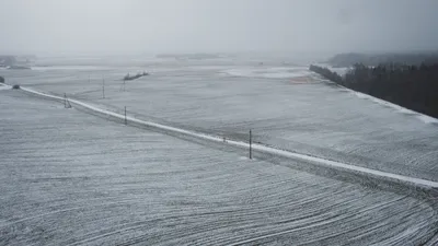 , фото - Новости Zakon.kz от 01.12.2025 15:31