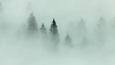 , фото - Новости Zakon.kz от 01.12.2025 12:05