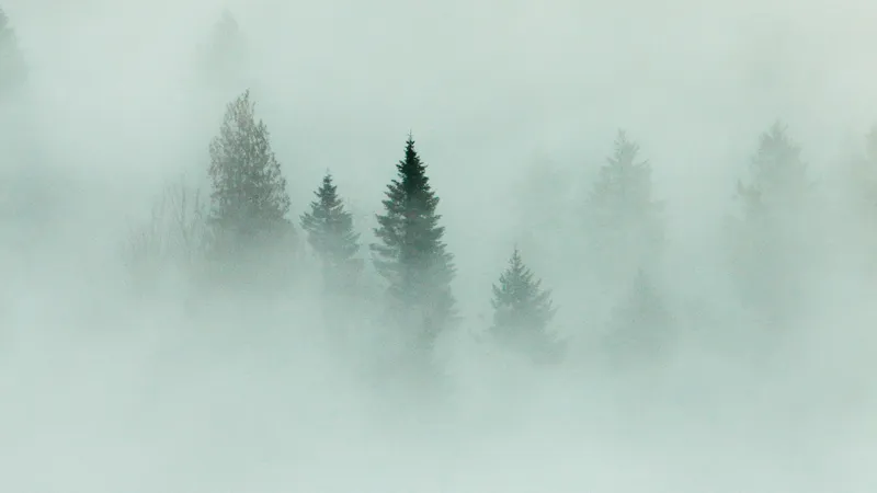 Какой будет погода в первый день зимы в Казахстане