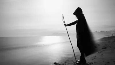 Берег моря, пляж, палка, фото - Новости Zakon.kz от 01.12.2025 05:59