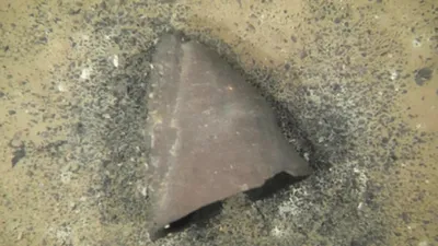 Древняя посуда, фото - Новости Zakon.kz от 01.12.2025 07:59