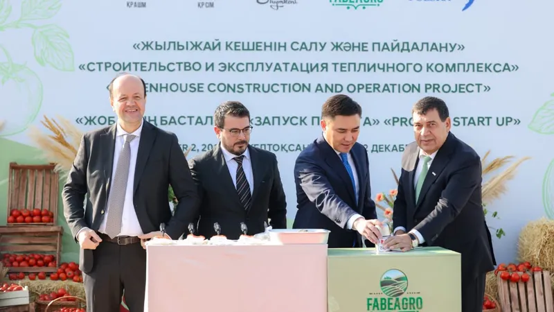 В Шымкенте началось строительство крупного тепличного комплекса
