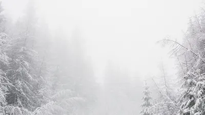 непогода в горах, фото - Новости Zakon.kz от 02.12.2025 20:36