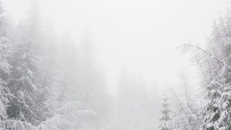 Туман и гололед накроют большую часть Казахстана: объявлено штормовое предупреждение