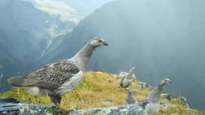 , фото - Новости Zakon.kz от 11.12.2025 17:03