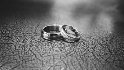 Обручальные кольца, фото - Новости Zakon.kz от 03.12.2025 07:10