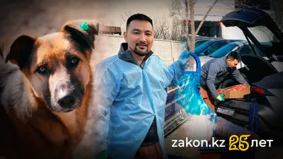 , фото - Новости Zakon.kz от 05.12.2025 14:54