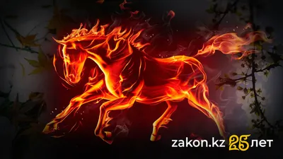 , фото - Новости Zakon.kz от 05.12.2025 14:34