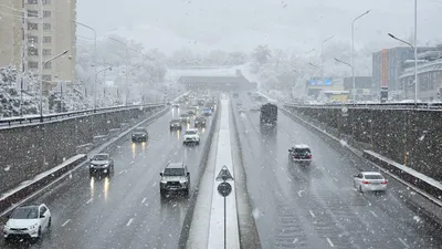 , фото - Новости Zakon.kz от 06.12.2025 09:05