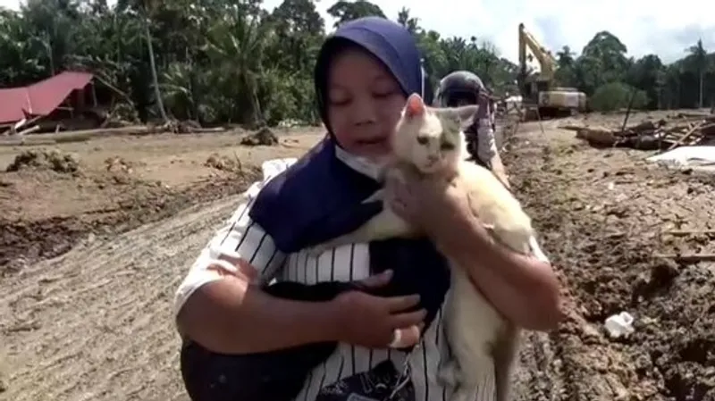 Запертого в доме кота спасли через неделю после наводнений в Индонезии