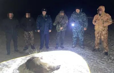 Охота в Костанайской области закончилась уголовным наказанием