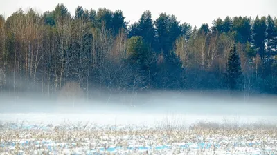 штормовое предупреждение, фото - Новости Zakon.kz от 05.12.2025 20:01