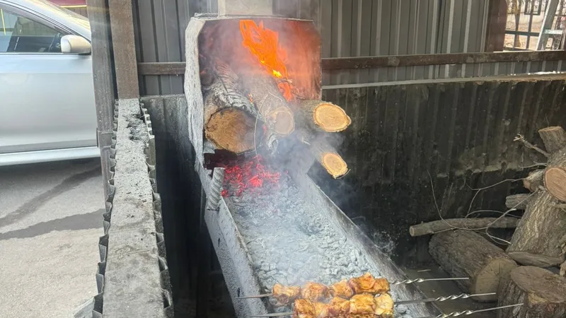 Штраф в 1,2 млн тенге: в Алматы выявлены экологические и санитарные нарушения у ряда шашлычных