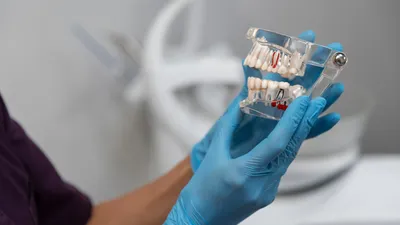 , фото - Новости Zakon.kz от 06.12.2025 14:23