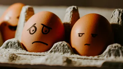 , фото - Новости Zakon.kz от 06.12.2025 16:01